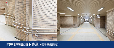 �����쉡�f�n�������i��茧�����s�j