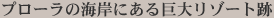 v[̊C݂ɂ鋐僊][g
