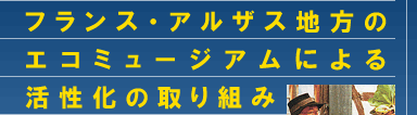 tXEAUXñGR~[WAɂ銈̎g